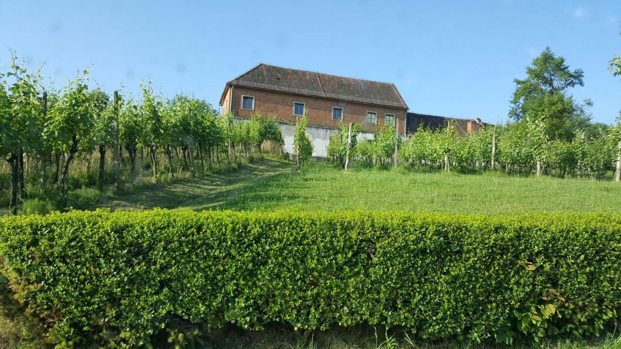 Na Off Villa Radenci Exterior photo